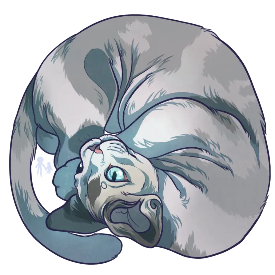 Curled Cat Illustration