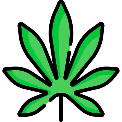 Green Cannabis Leaf Illustration