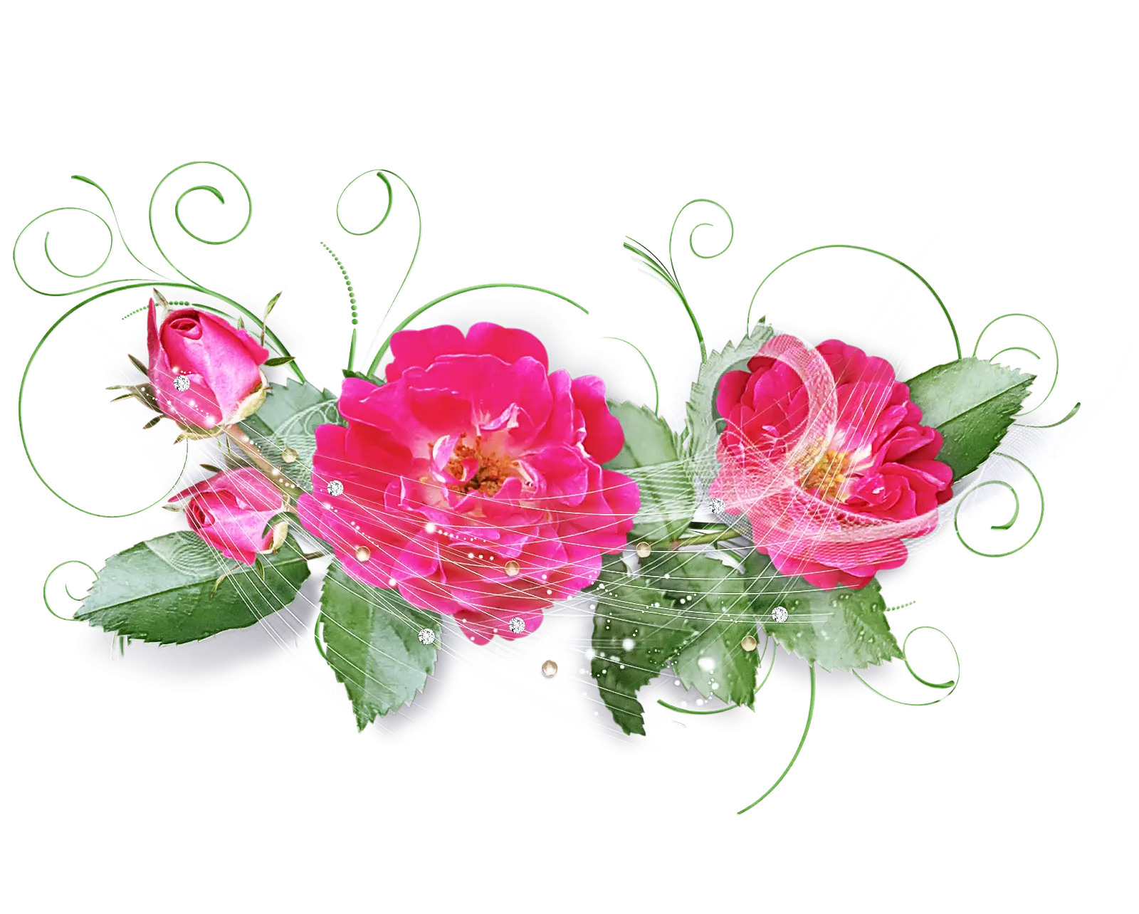 Illustration of Pink Roses with Green Leaves