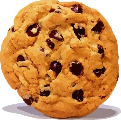 Chocolate Chip Cookie Close-up