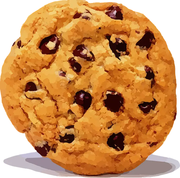 Chocolate Chip Cookie Close-up