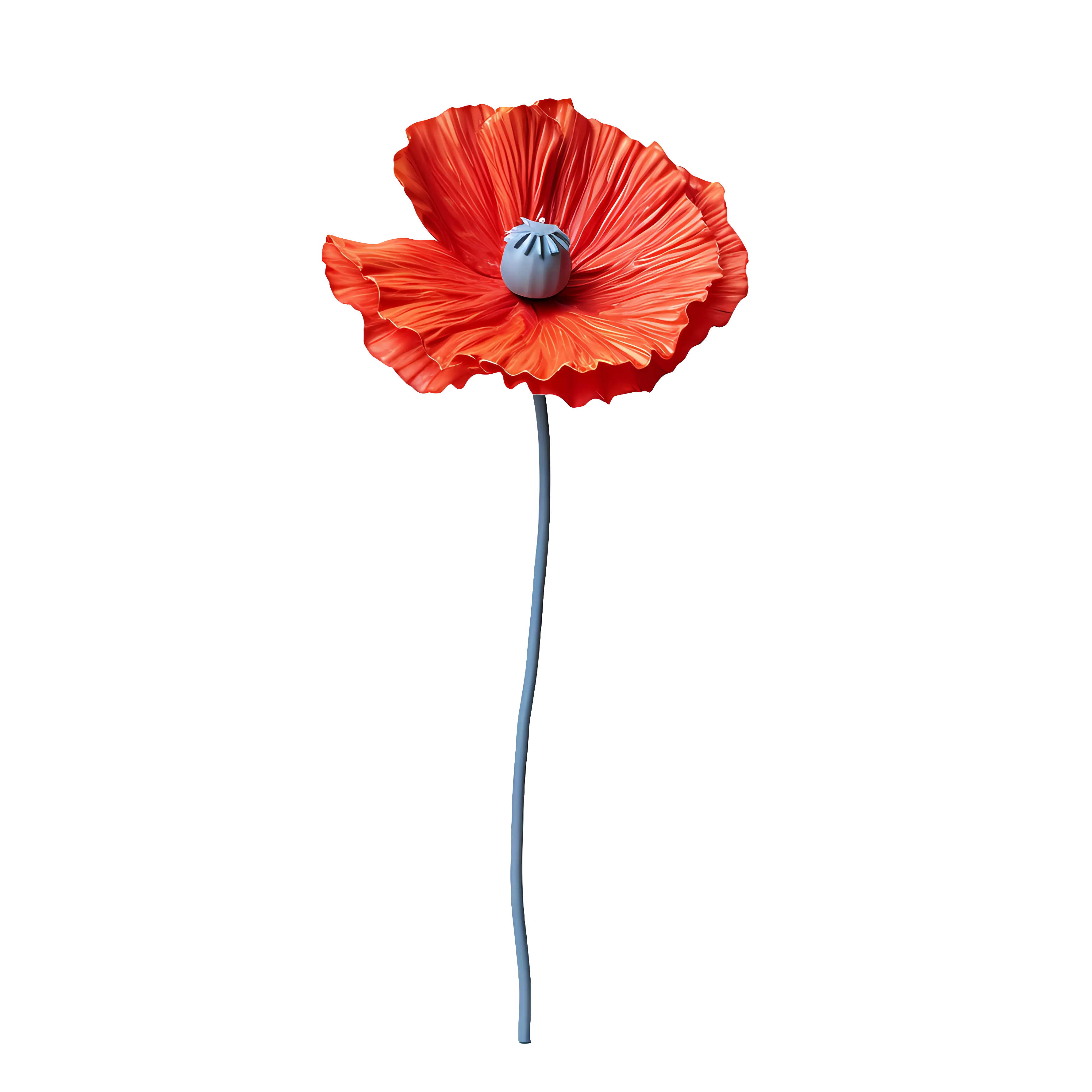 Detailed Illustration of a Single Red Poppy