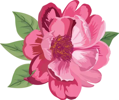 Pink Flower with Green Leaves Illustration