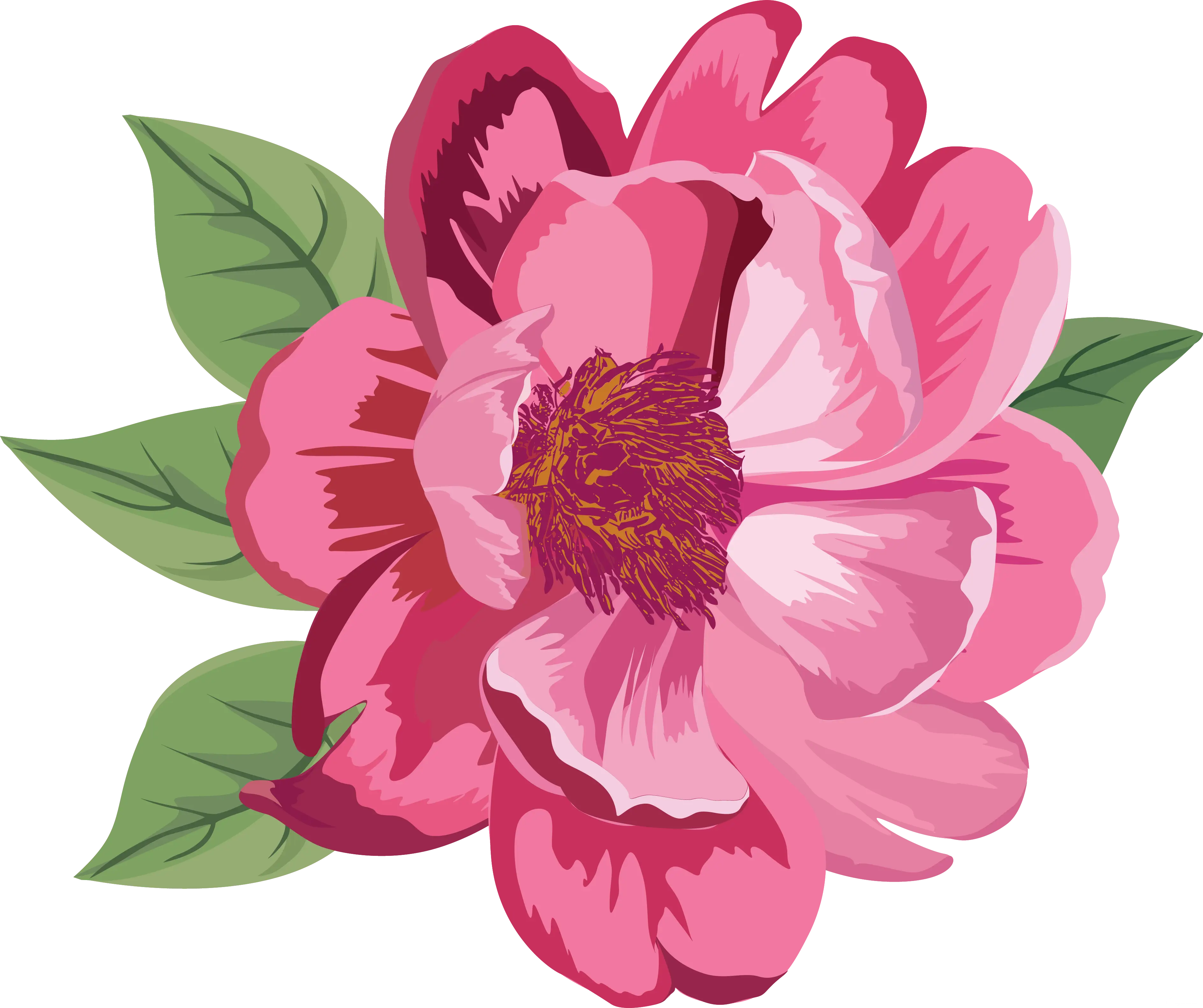 Pink Flower with Green Leaves Illustration