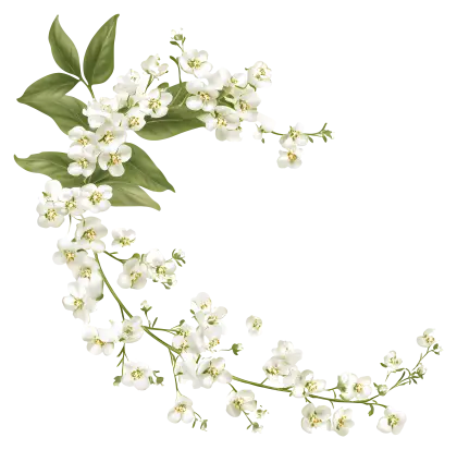 White Flowers with Green Leaves