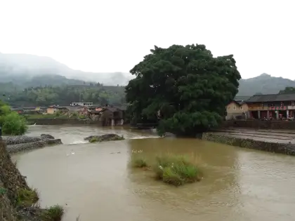 Scenic River with Tree and Village