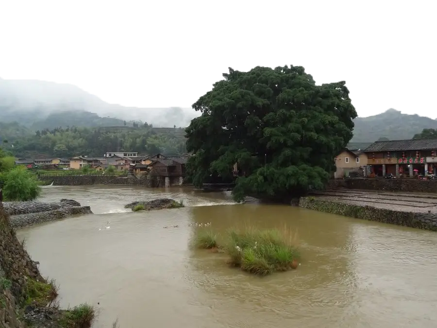 Scenic River with Tree and Village