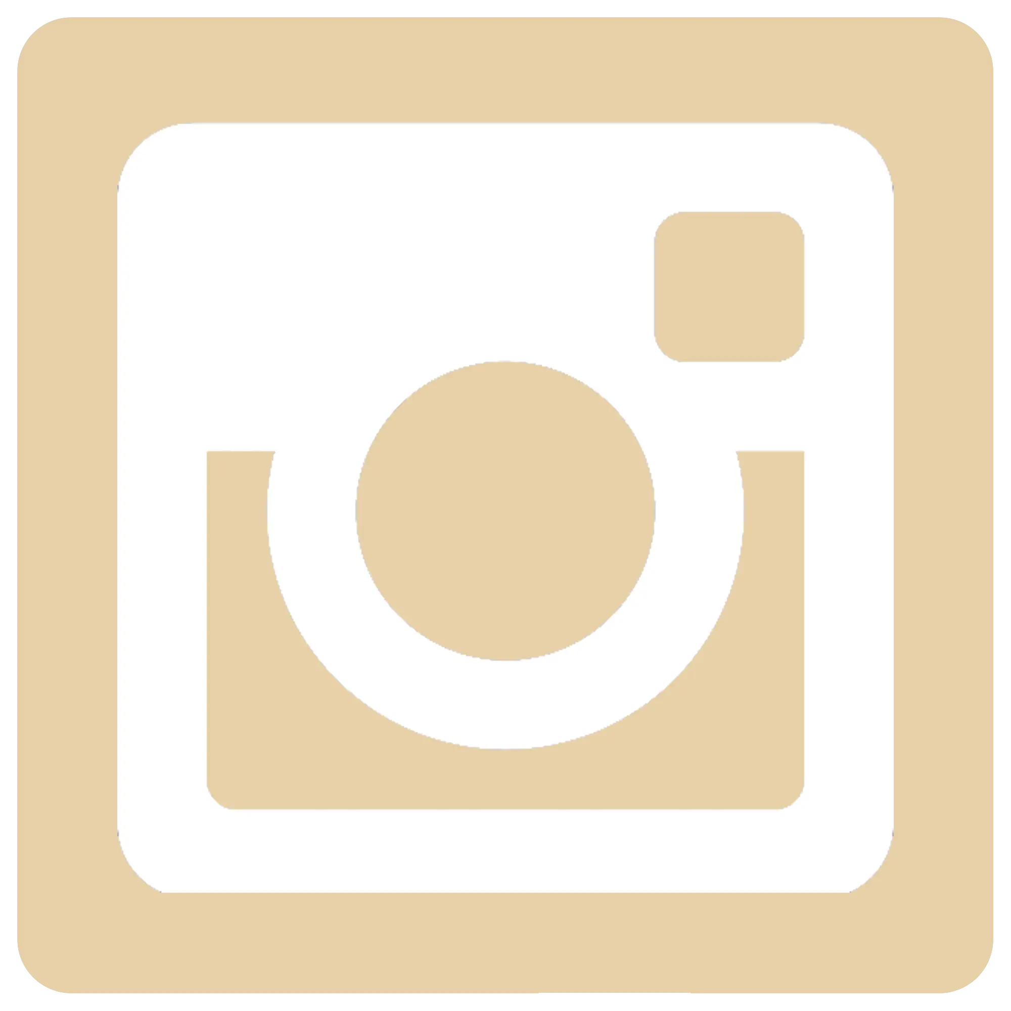 Beige Instagram Logo