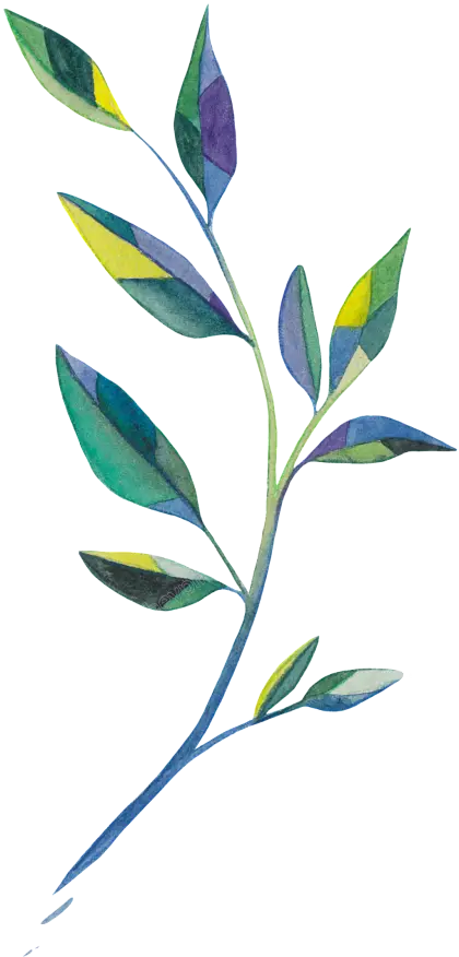 Colorful Leaves on Branch