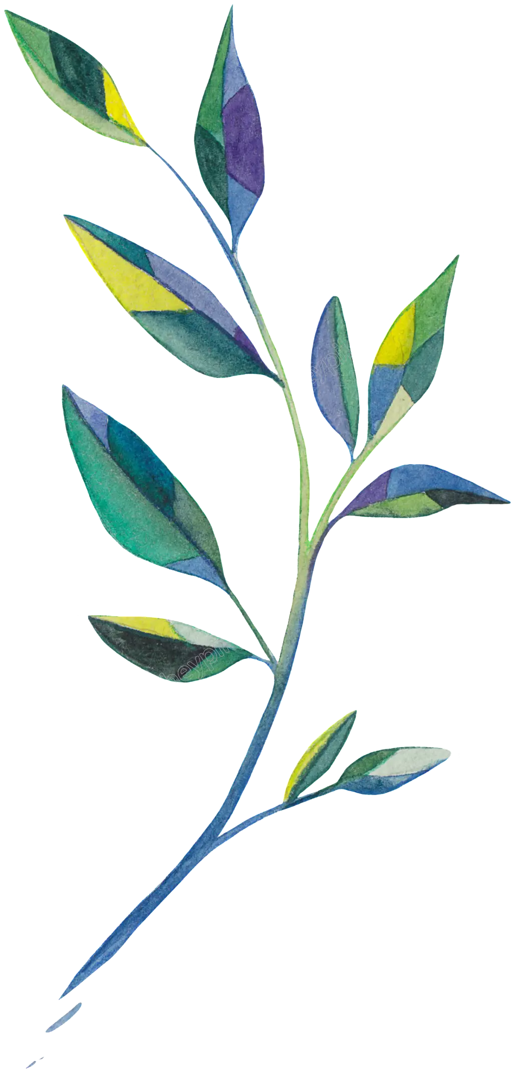 Colorful Leaves on Branch