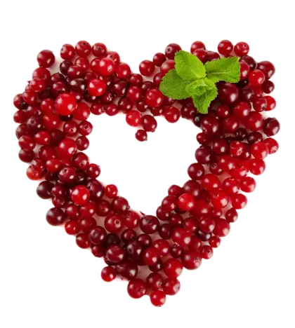 Cranberry Heart with Mint
