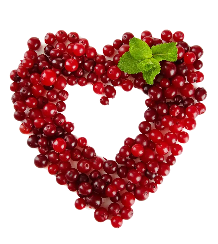 Cranberry Heart with Mint