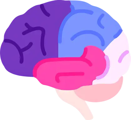 Colorful Brain Diagram for Education