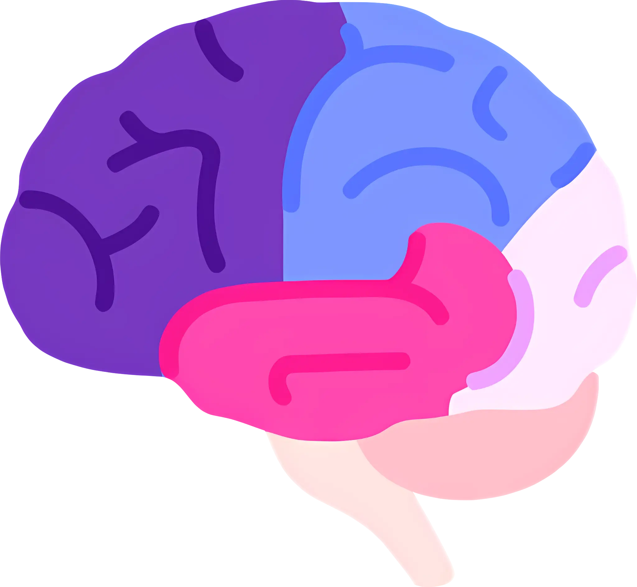 Colorful Brain Diagram for Education