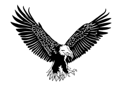 Black and White Eagle