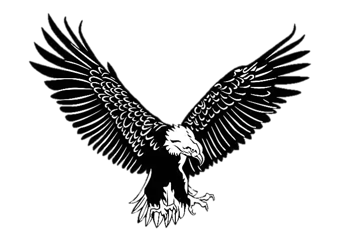 Black and White Eagle