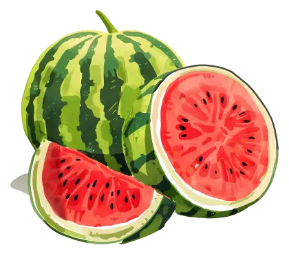 Juicy Watermelon with Green Rind and Red Flesh