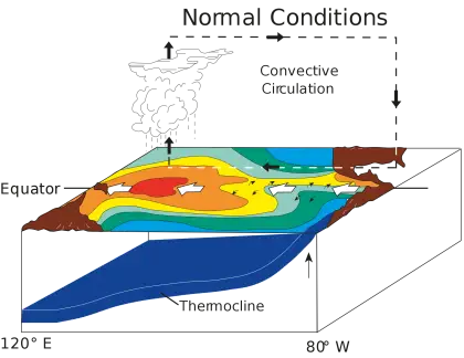 Illustrated Diagram of Weather Conditions