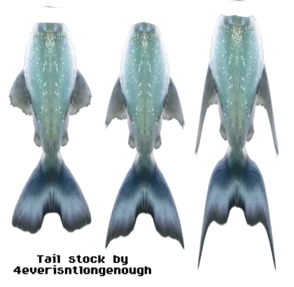 Fish Tails Illustration