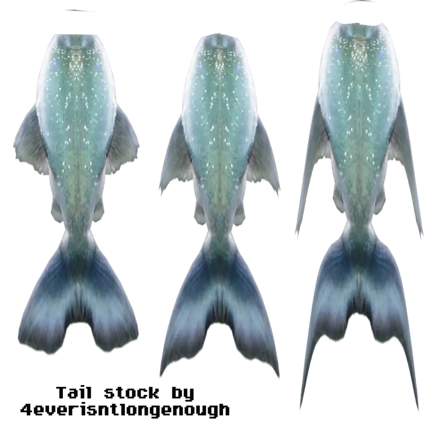 Fish Tails Illustration