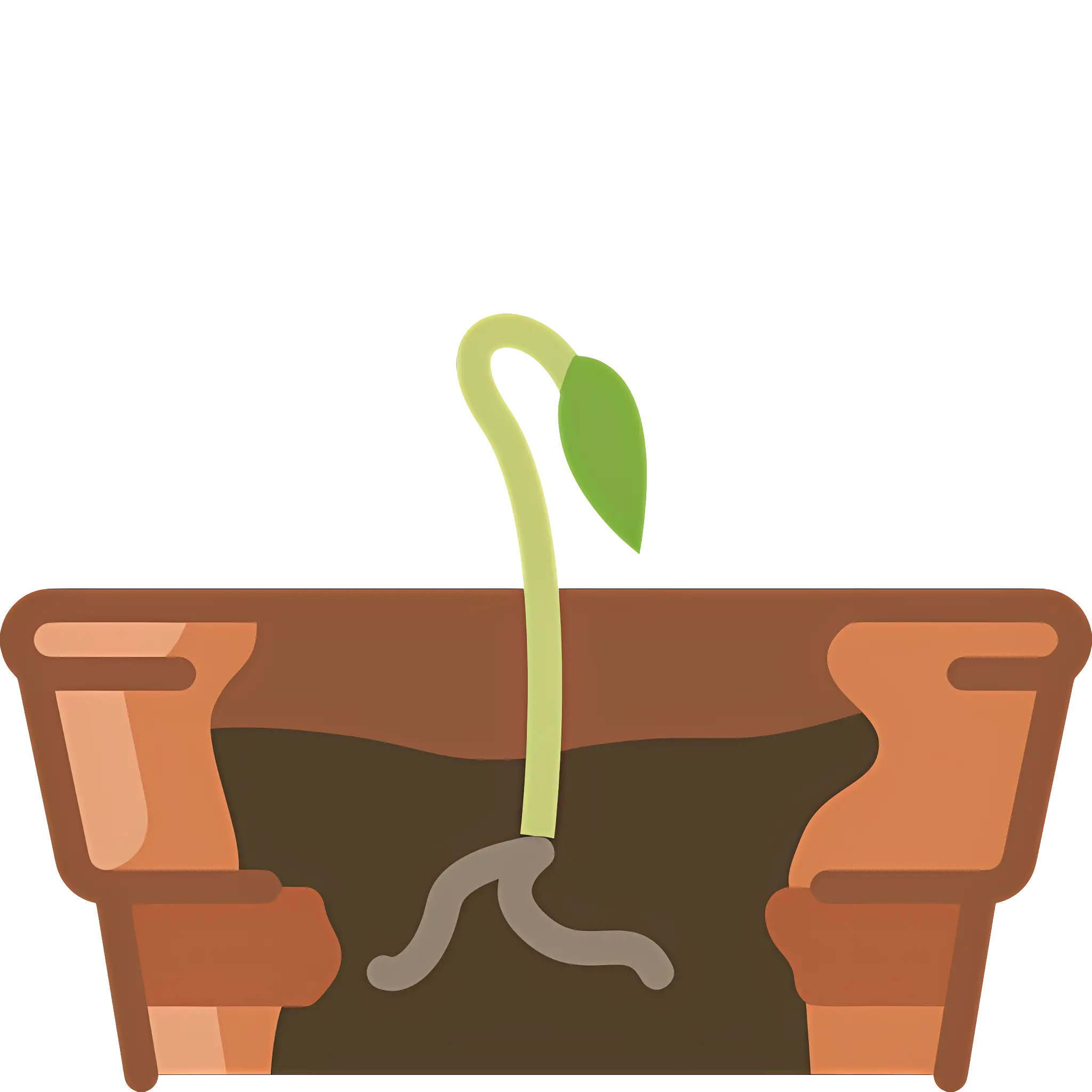 Sprouting Plant Growing in a Pot