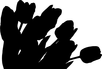 Black Silhouette of Tulip Flowers