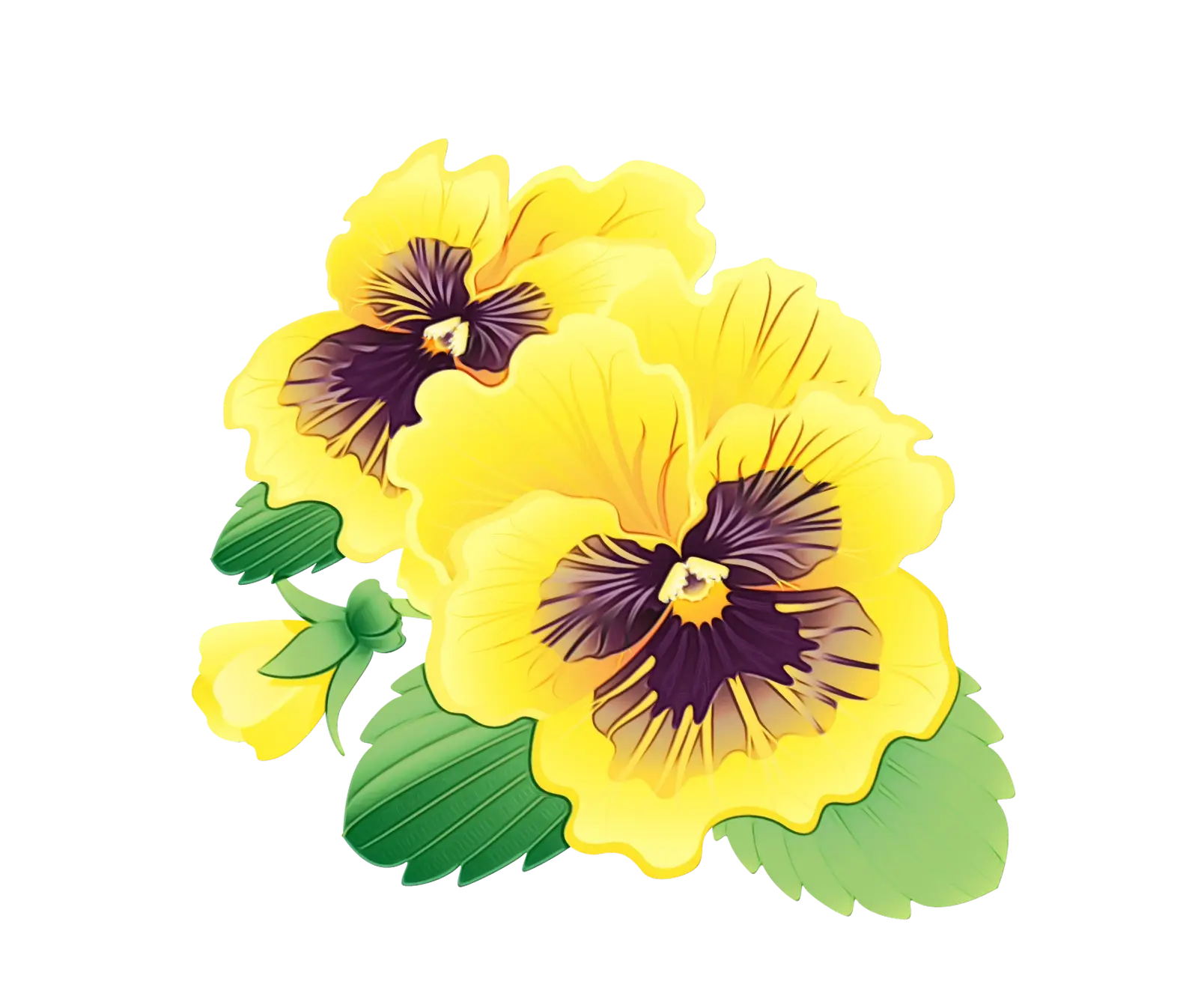 Bright Yellow Pansy Flowers