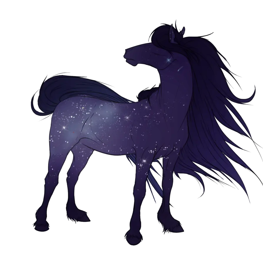 Starry Night Horse Illustration