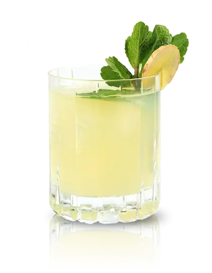 Refreshing Glass of Lemonade with Mint Garnish