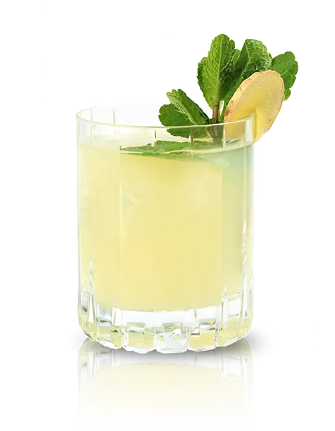 Refreshing Glass of Lemonade with Mint Garnish