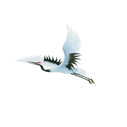 Beautiful Flying Bird Illustration
