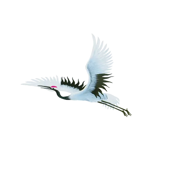 Beautiful Flying Bird Illustration