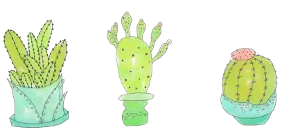 Cute Cactus Illustrations