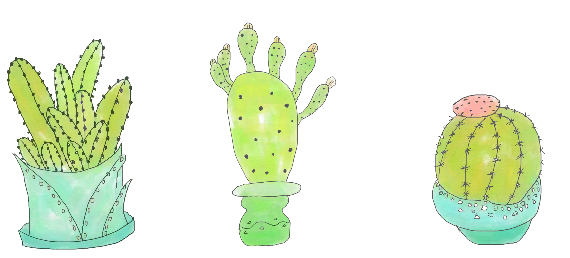 Cute Cactus Illustrations