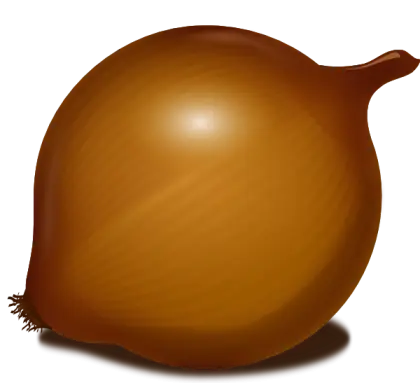 Brown Onion Cartoon Illustration for Culinary Use