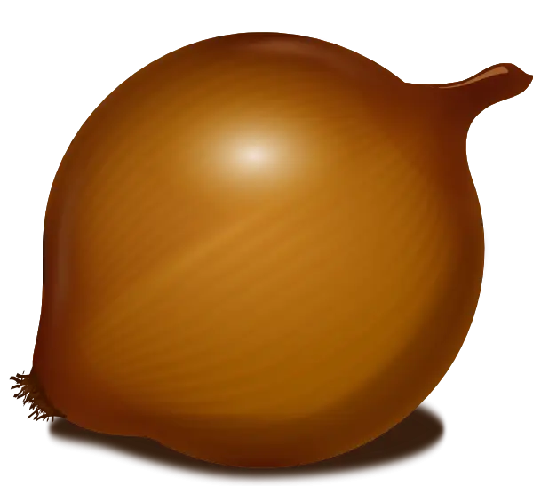 Brown Onion Cartoon Illustration for Culinary Use