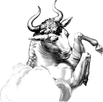 Black and White Bull Illustration