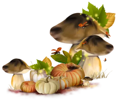 Mushrooms and Pumpkins Autumn Illustration