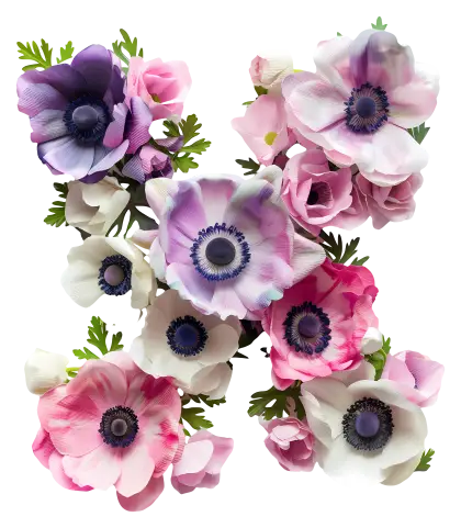 Colorful Anemone Flower Composition