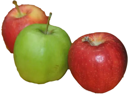 Green and Red Assorted Apples