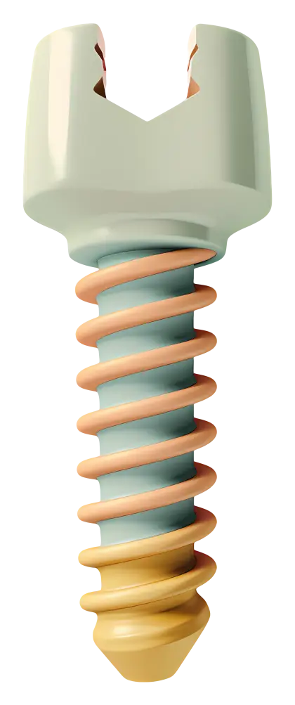 Colorful Screw Fastener