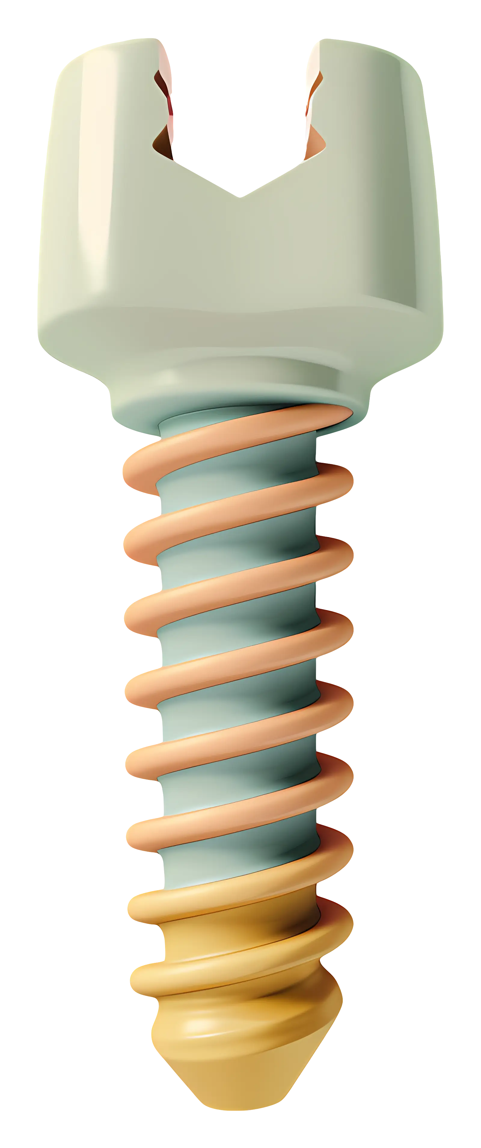 Colorful Screw Fastener