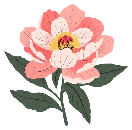 Pink Peony Botanical Illustration