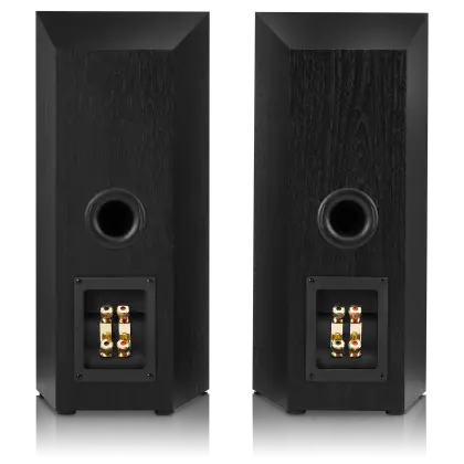 Pair of Black Speakers