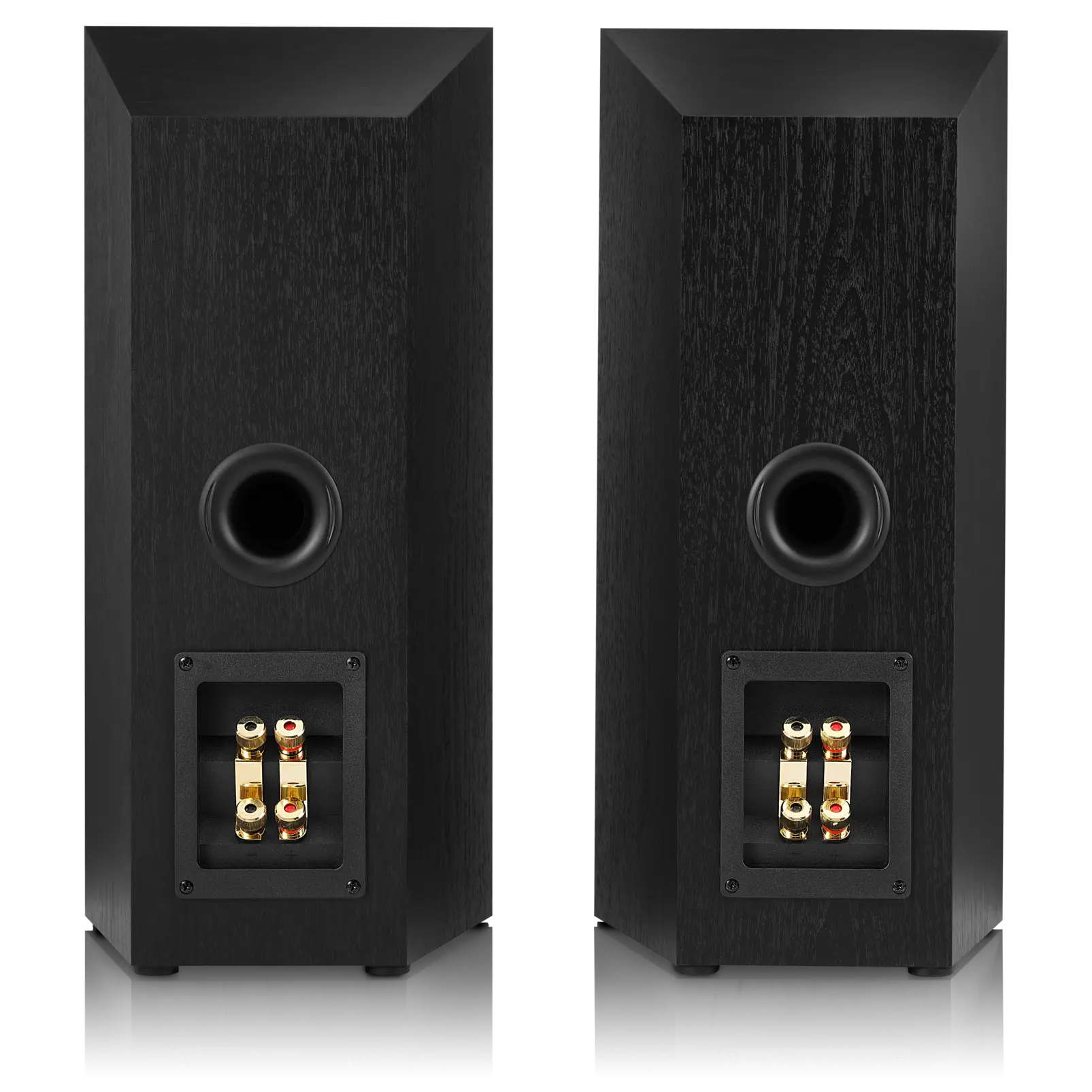 Pair of Black Speakers