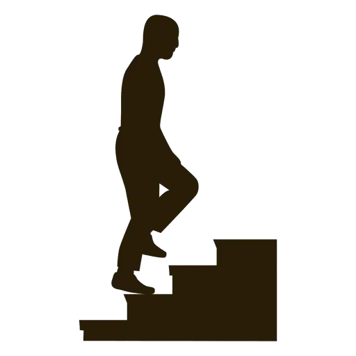 Silhouette of Person Climbing Steps