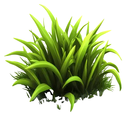 Bright Green Grass for Spring Gardens