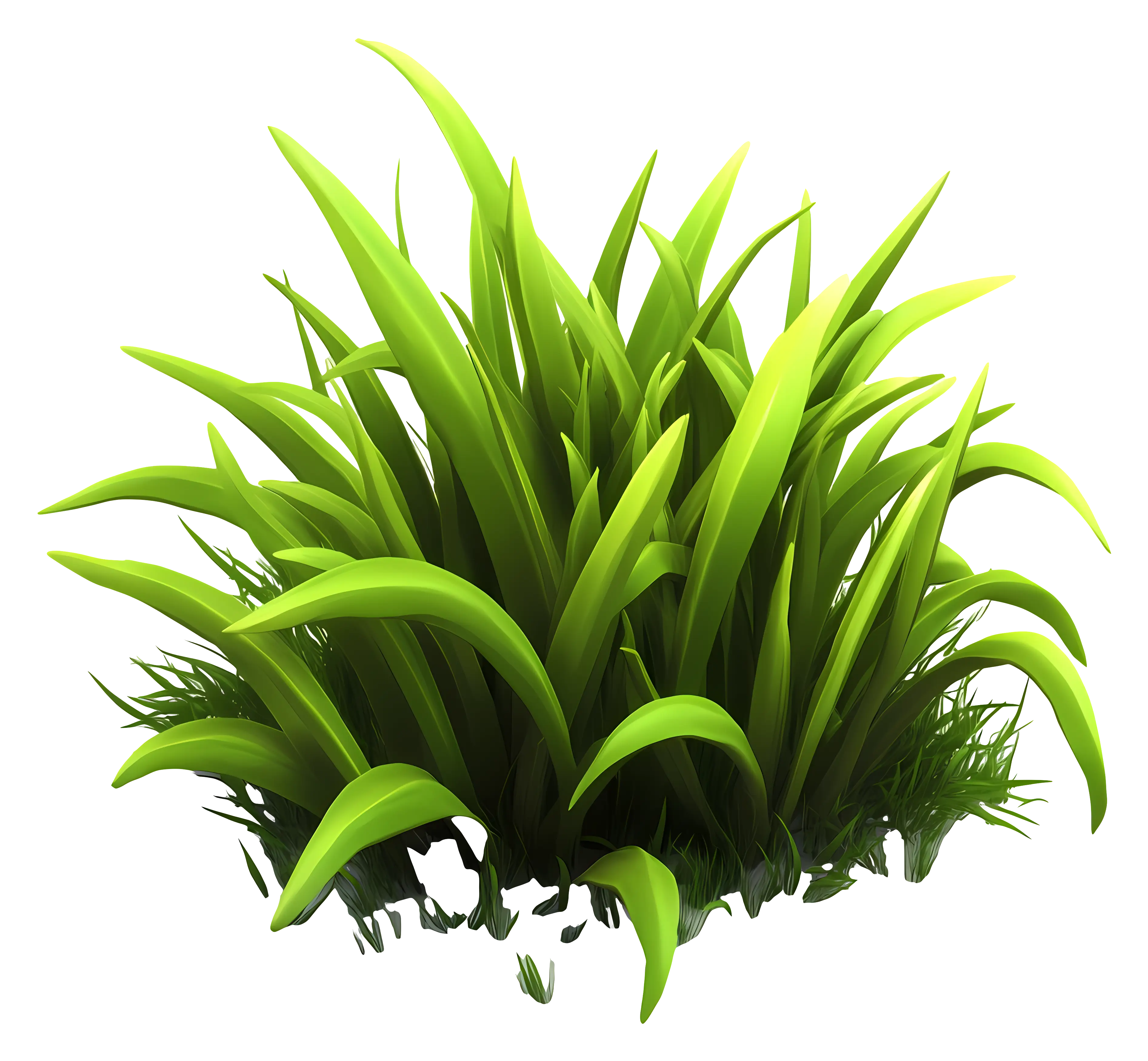 Bright Green Grass for Spring Gardens