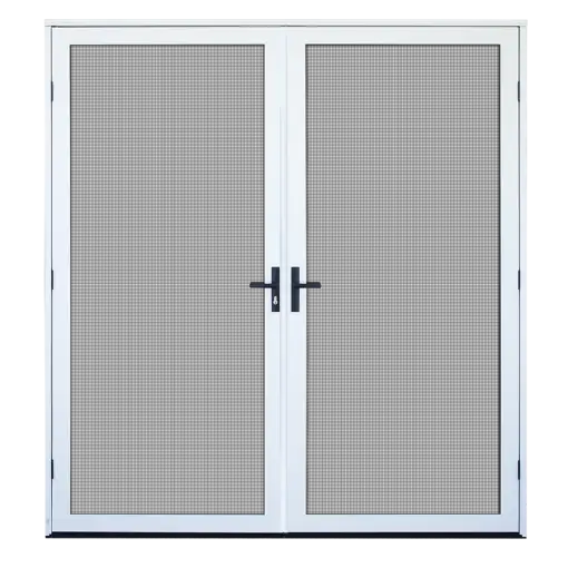 Double Glass Door for Home Entrance