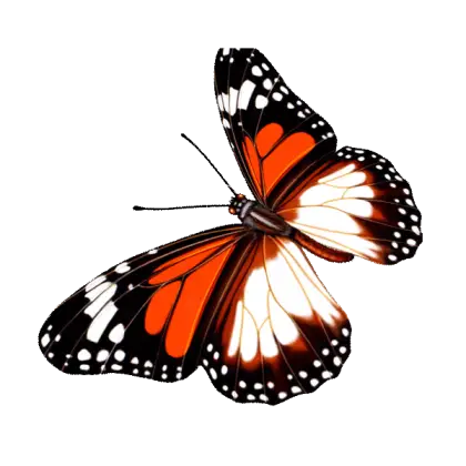 Realistic Vibrant Butterfly with Orange and Black Wings
